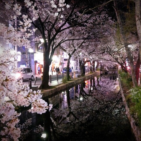 IMAG0118_2.jpg