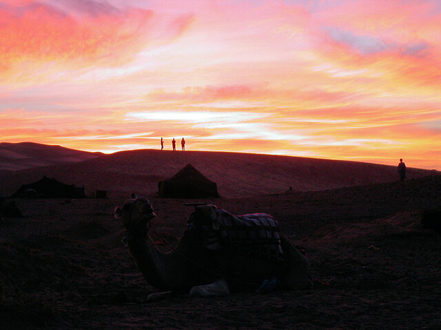PICT0031.JPG