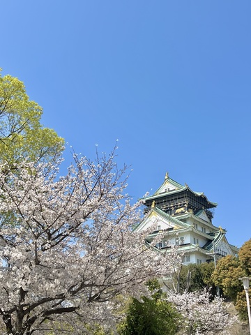 IMG_2038.jpeg