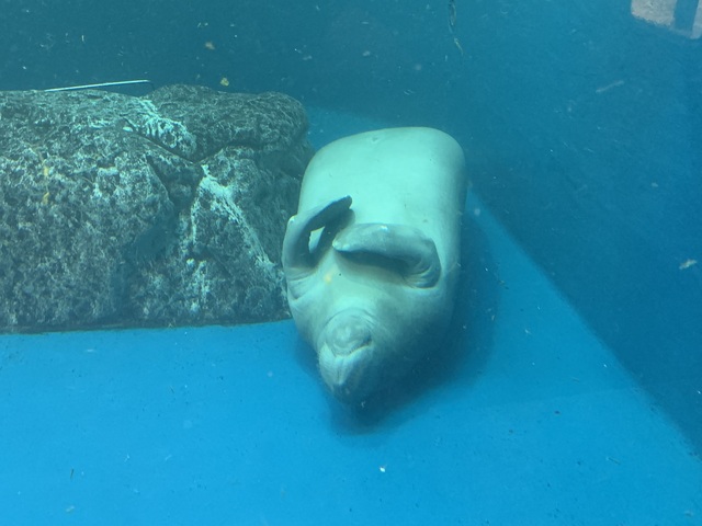 IMG_0221.jpeg