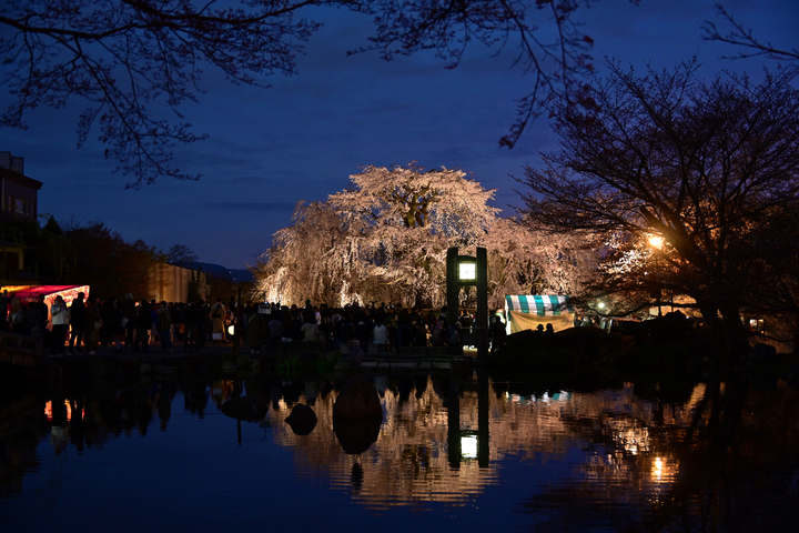 DSC_3289_02.jpg