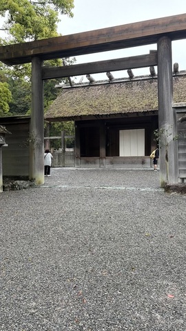 IMG_8549.jpeg