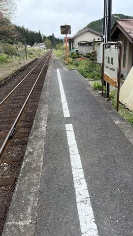 IMG_8758.jpeg