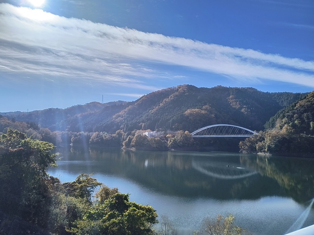 IMG_20251123_101208378_HDR.jpg