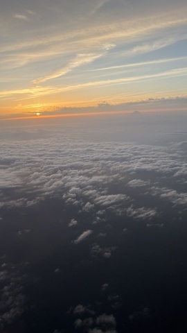 IMG_8919.jpeg