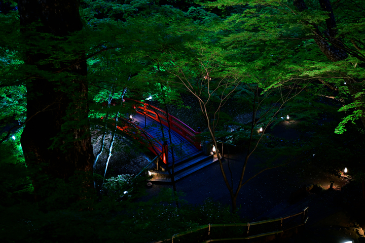 DSC_1472.jpg