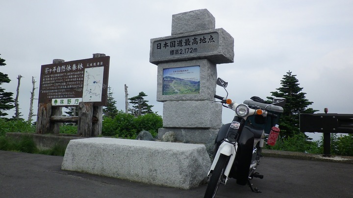 IMGP0446.JPG
