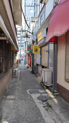 IMG_3303.jpeg