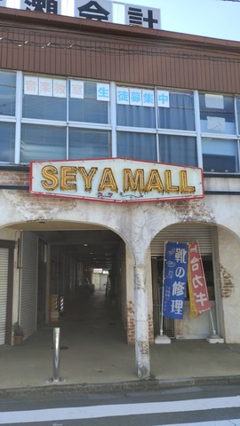 IMG_3294.jpeg