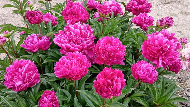 260506154037789.JPG