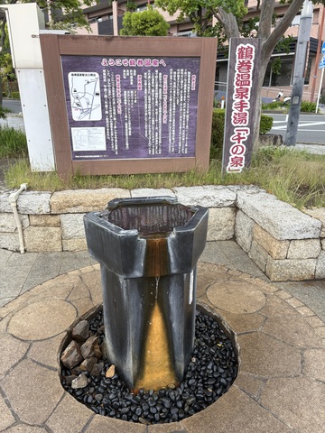 IMG_1666.jpeg