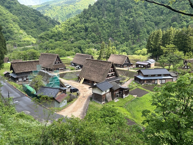 IMG_9796.JPG