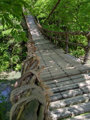 PXL_20260510_015223663.jpg