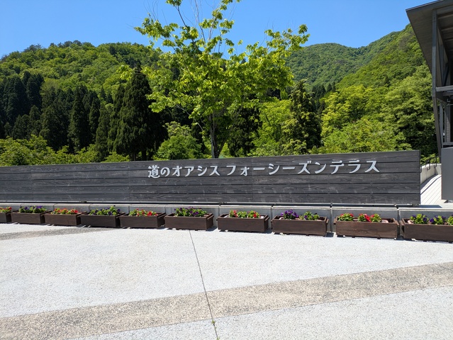 PXL_20260510_024516686.jpg