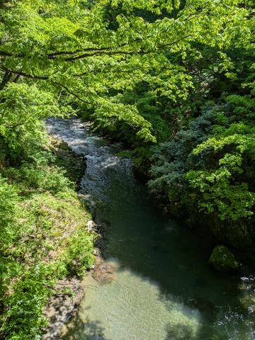 PXL_20260510_014427864.jpg