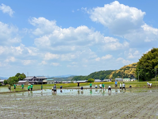 IMG_2725.jpeg