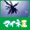 改善王@運営事務局