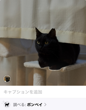 IMG_1753.jpeg