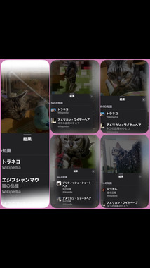 IMG_2714.png