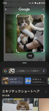 Screenshot_20250511-112004.png