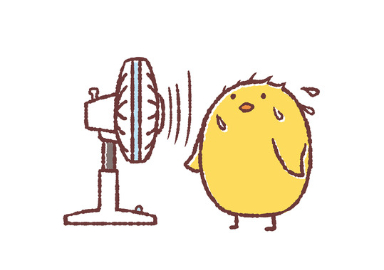 IMG_4339.png