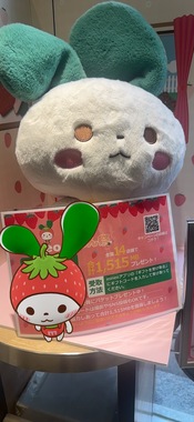 IMG_8933.jpeg