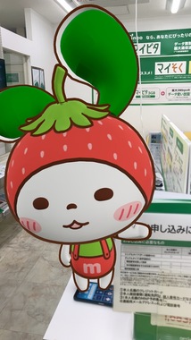 IMG_1616.jpeg