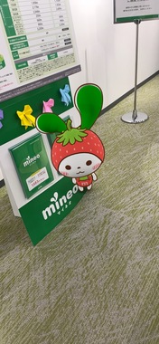 IMG_1548.jpeg