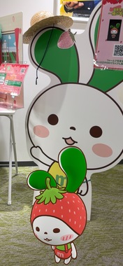IMG_8110.jpeg