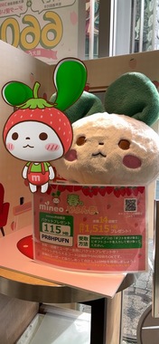 IMG_8976.jpeg