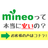 本当に安いの.jpg