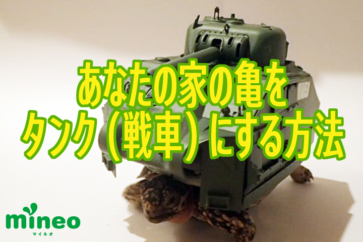あなたの家の亀をタンク（戦車）にする方法