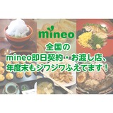 格安スマホmineoのブログ