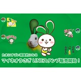 格安スマホmineoのブログ