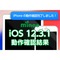 ios_kensyo_ios12.3.1.png