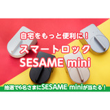 sesame-title.png