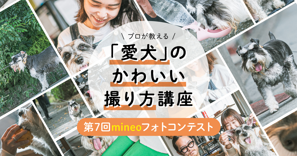 プロのカメラマンが教える 愛犬のかわいい撮り方 講座 プレゼントあり 第7回mineoフォトコンテスト スタッフブログ マイネ王 プロのカメラマンが教える 愛犬のかわいい撮り方 講座 プレゼントあり 第7回mineoフォトコンテスト スタッフブログ マイネ王