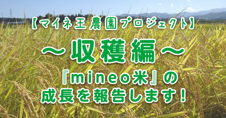 【マイネ王農園プロジェクト】～収穫編～『mineo米』の成長を報告します！（8月～9月）