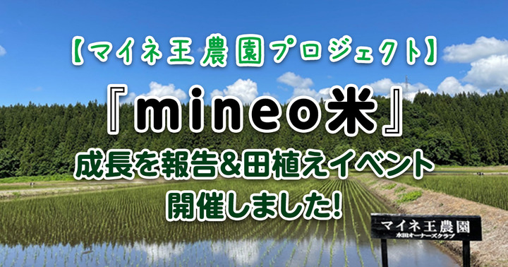 【マイネ王農園プロジェクト】『mineo米』の成長を報告＆田植えイベント開催しました！