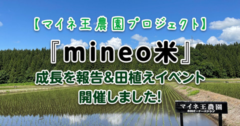 【マイネ王農園プロジェクト】『mineo米』の成長を報告＆田植えイベント開催しました！