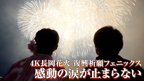 【祝！1,400万HAPPY突破記念企画】マイネ王ユーザーさんと長岡花火大会を鑑賞してきました！