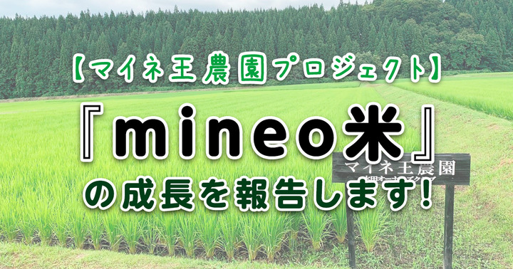 【マイネ王農園プロジェクト】『mineo米』の成長を報告します！