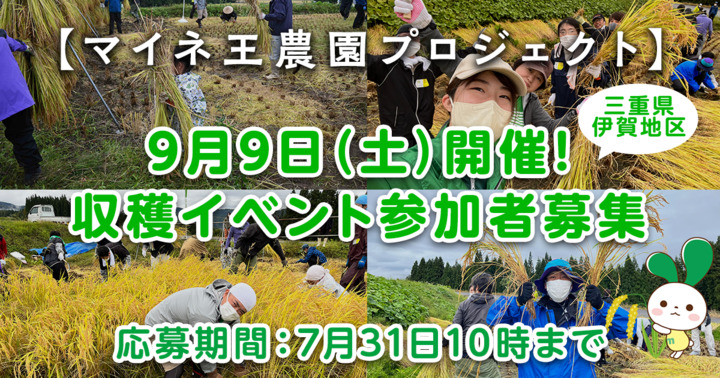 【マイネ王農園プロジェクト2023】9月9日（土）開催！収穫イベント参加者募集♪（7月31日10時締め切り）