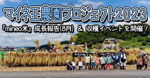 【マイネ王農園プロジェクト2023】『mineo米』の成長報告（8月）＆ 収穫イベントを開催しました！
