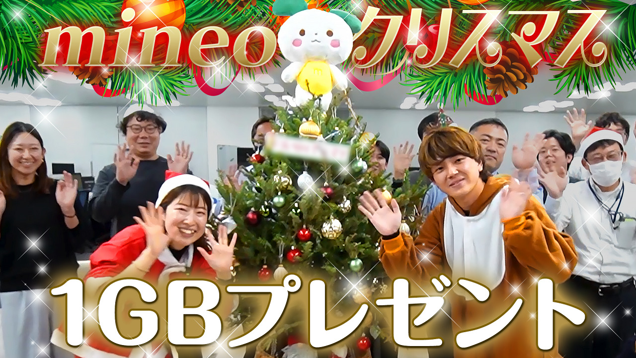 パケットプレゼント１GB】mineoのオフィスにクリスマスツリーを飾ろう！【マイネ王YouTubeチャンネル】（2023年12月21日追記） |  スタッフブログ | マイネ王