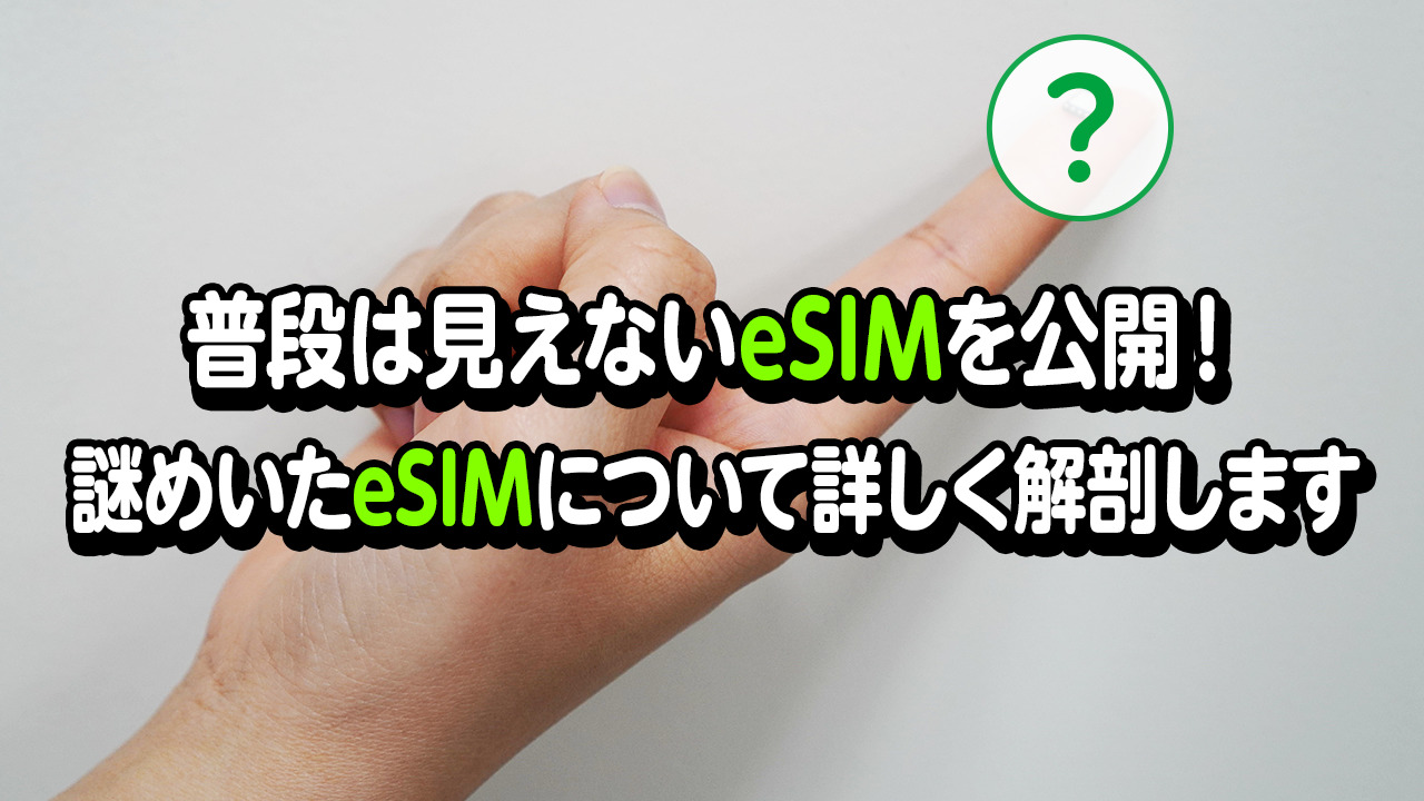 普段は見えないeSIMを公開！謎めいたeSIMについて詳しく解剖します | スタッフブログ | マイネ王