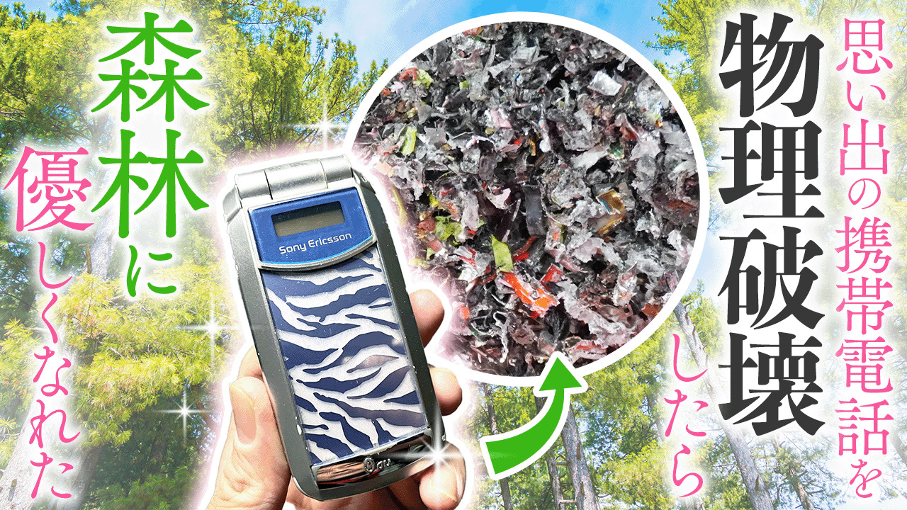 思い出の携帯電話を物理破壊したら、森林に優しくなれた