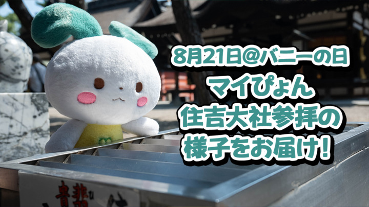 マイぴょんの住吉大社参拝の様子をお届け！【8月21日＠バニーの日】
