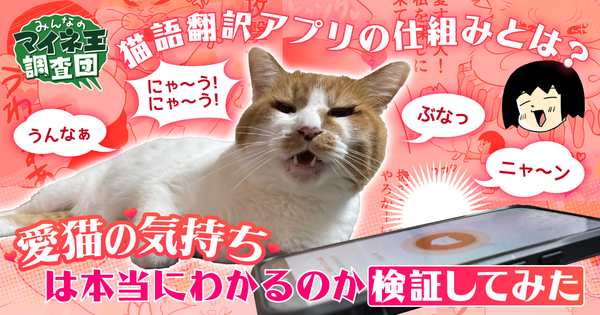 猫語翻訳アプリの仕組みとは？ 愛猫の気持ちは本当にわかるのか検証してみた【マイネ王調査団】 | スタッフブログ | マイネ王