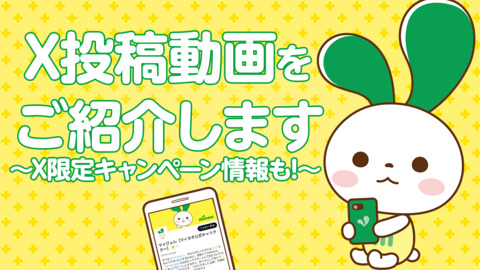 息抜きにどうぞ!X投稿動画をご紹介します~X限定キャンペーン情報も~